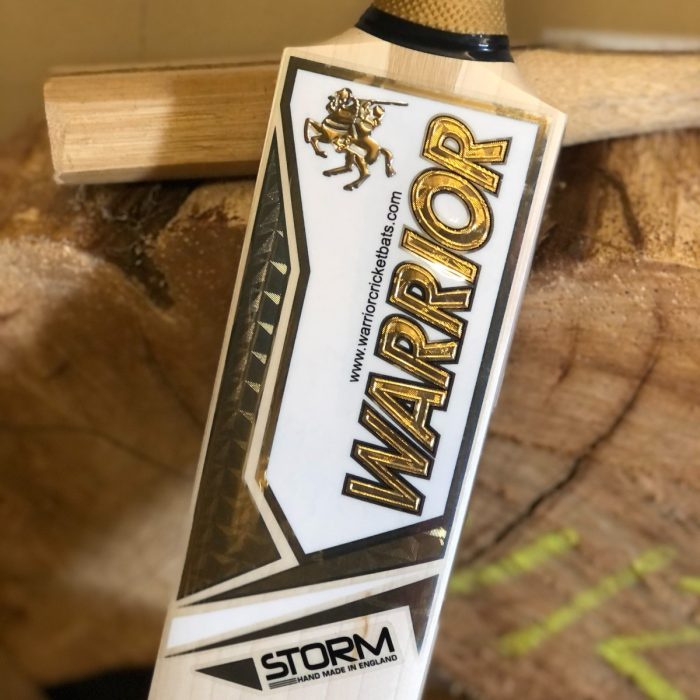Warrior Storm Cricket Bat