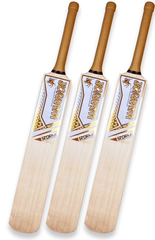 Warrior Cricket Bat - Storm