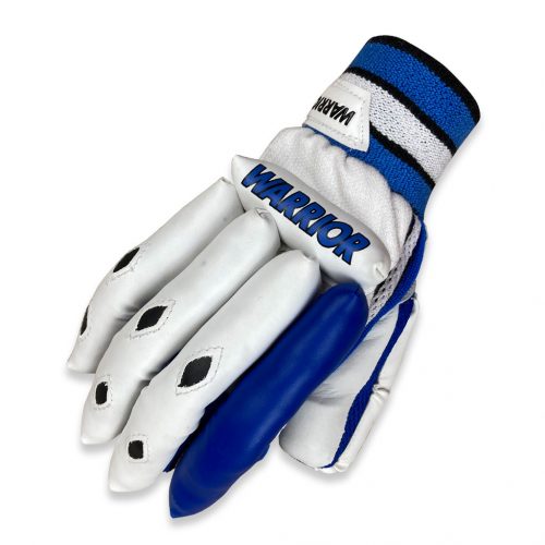 Protection Warrior Cricket protection-warrior-cricket