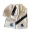 Warrior Cricket Boys Wicket Keeping Gloves