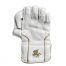 Warrior Wicket Keeping Adults Glove back